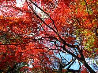 20131130-024.jpg