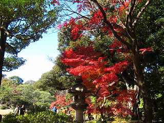 20131130-064.jpg
