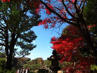 20131130-067.jpg