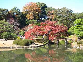 20131130-056.jpg
