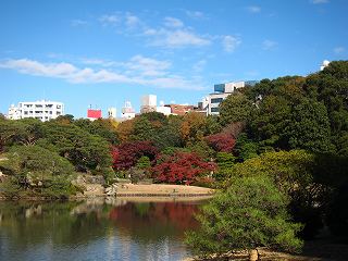 20131130-039.jpg