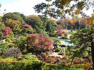 20131130-078.jpg