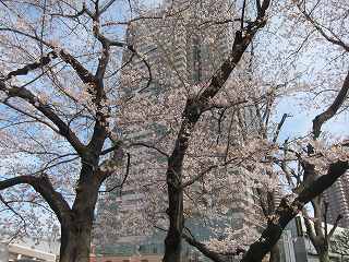 20140329-043.jpg