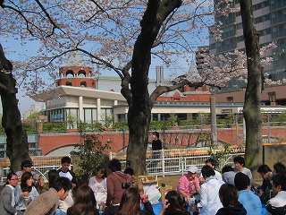 20140329-046.jpg