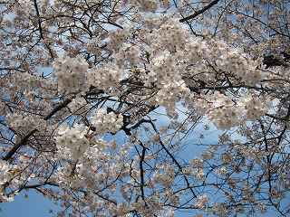 20140329-044.jpg