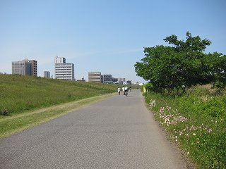 20140510-011.jpg