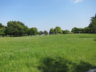 20140510-029.jpg