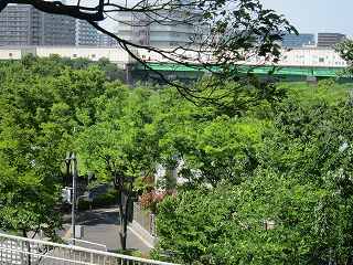 20140510-028.jpg