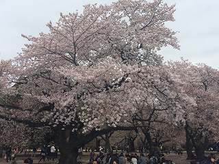 20150404-005.jpg