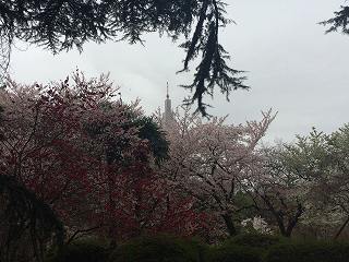 20150404-017.jpg