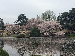 20150404-019.jpg
