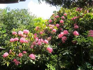 20150502-005.jpg