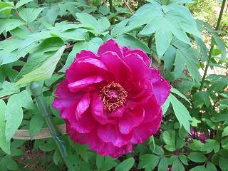 20150502-008.jpg