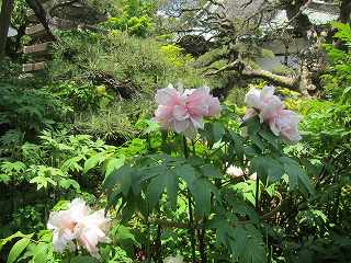 20150502-009.jpg