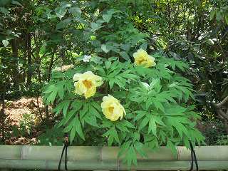 20150502-010.jpg