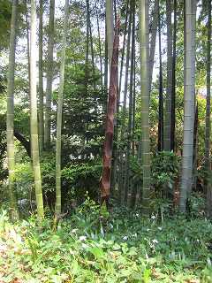 20150502-021.jpg