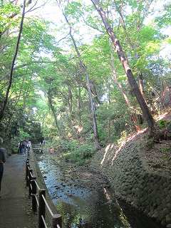 20150502-042.jpg