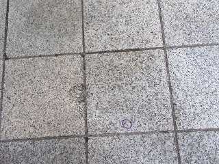 20151031-013.jpg