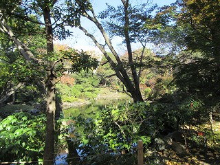 20151129-008.jpg