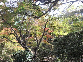 20151129-041.jpg