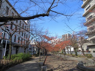 20151129-050.jpg