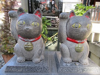 20151129-059.jpg