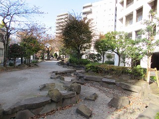20151129-060.jpg