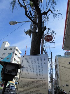 20151129-065.jpg