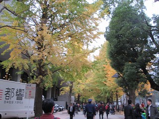 20151129-098.jpg