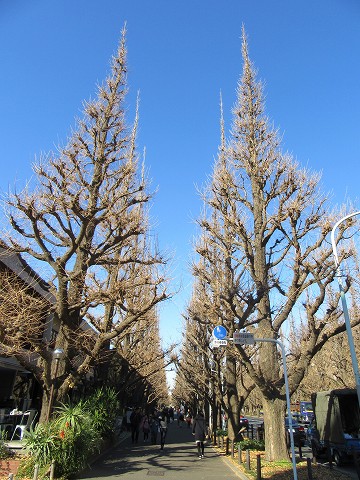 20160109-017.jpg