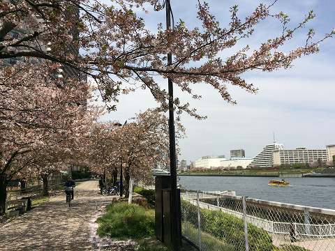 20160409-028.jpg