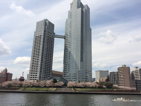 20160409-033.jpg