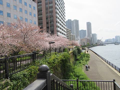 20160409-039.jpg