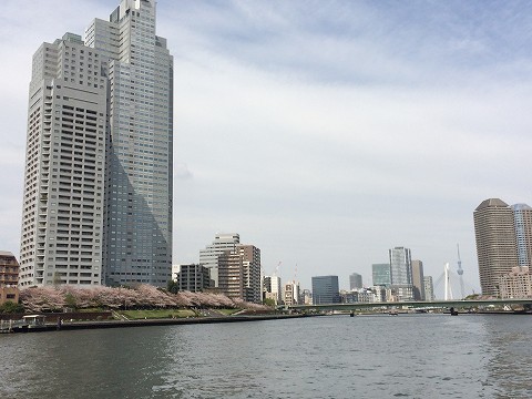20160409-041.jpg