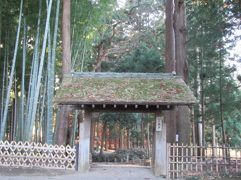 20151219-008.jpg