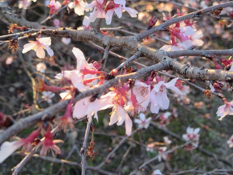 20151219-080.jpg