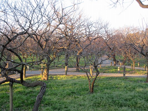 20151219-082.jpg