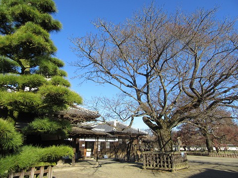 20151220-034.jpg