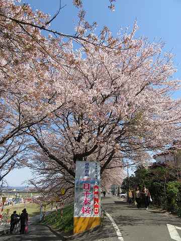 20160412-004.jpg