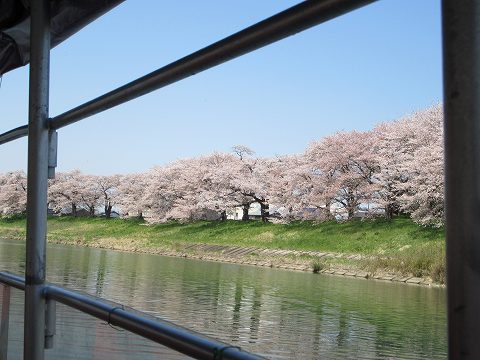20160412-015.jpg