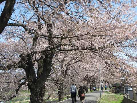20160412-021.jpg