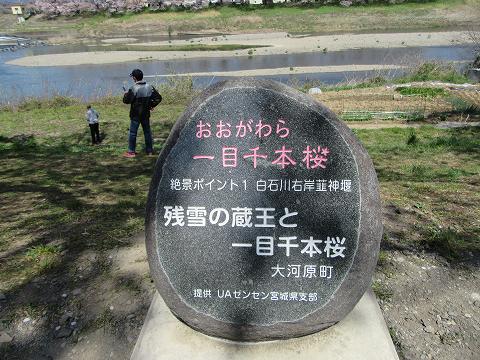 20160412-039.jpg