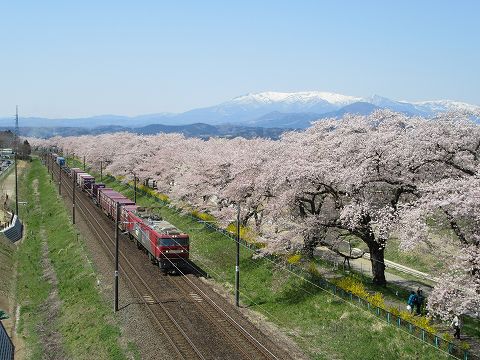 20160412-064.jpg