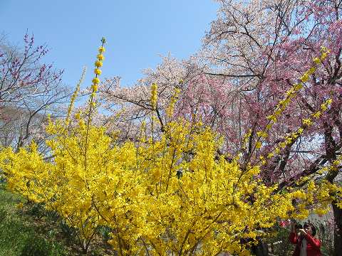 20160412-092.jpg