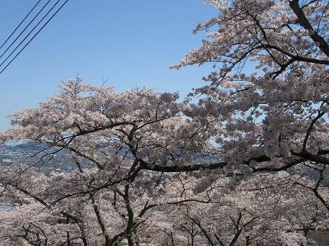 20160412-099.jpg