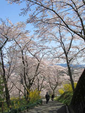 20160412-127.jpg