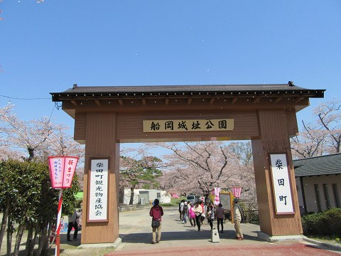 20160412-132.jpg