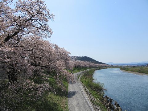 20160412-139.jpg