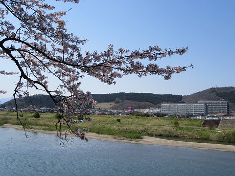 20160412-140.jpg