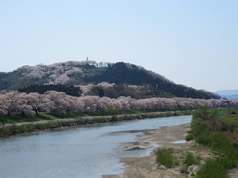 20160412-144.jpg